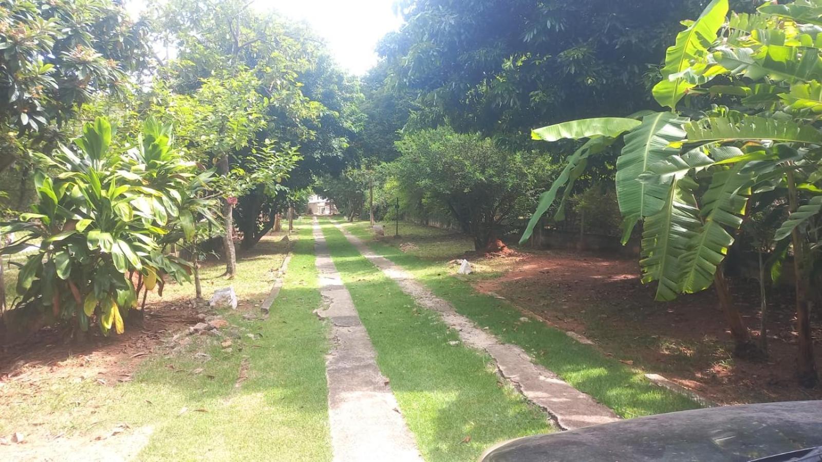 Albergue Flor De Jabuticabeira Jaguariúna Exterior foto
